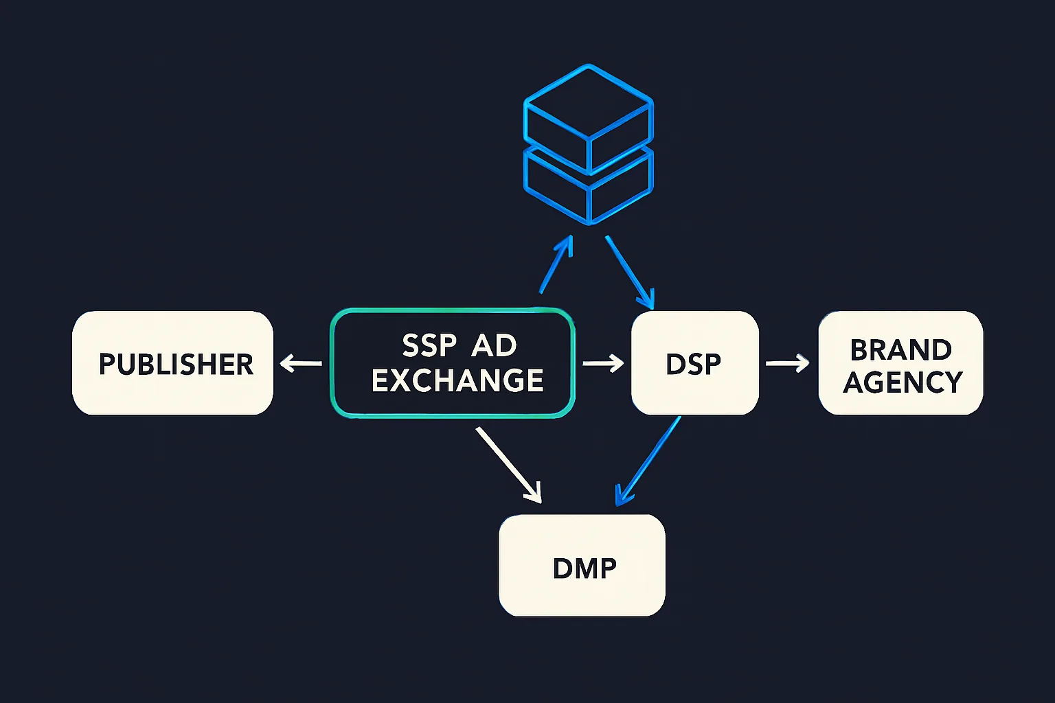 How-DMPs-work